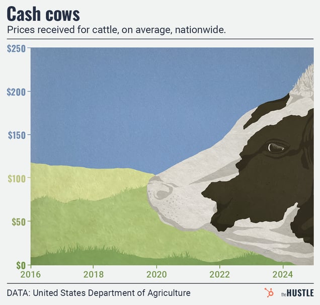 Cattle Price Chart: A line graph titled "Cash cows" shows national average prices for cattle rising from approximately $120 in 2016 to over $180 by 2024.