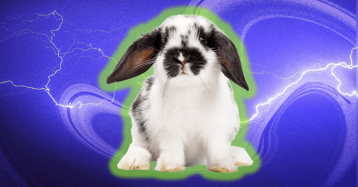 Glowing bunnies and real-life unicorns: Biohacking is coming for our pets