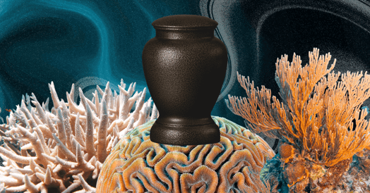An urn sitting on an underwater reef.
